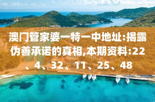 澳门管家婆一特一中地址:揭露伪善承诺的真相,本期资料:22、4、32、11、25、48