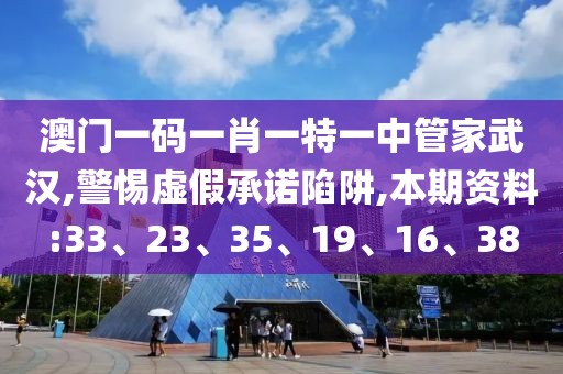 澳门一码一肖一特一中管家武汉,警惕虚假承诺陷阱,本期资料:33、23、35、19、16、38