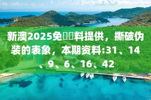 新澳2025免費資料提供，撕破伪装的表象，本期资料:31、14、9、6、16、42