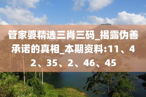 管家婆精选三肖三码_揭露伪善承诺的真相_本期资料:11、42、35、2、46、45