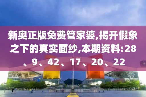 新奥正版免费管家婆,揭开假象之下的真实面纱,本期资料:28、9、42、17、20、22