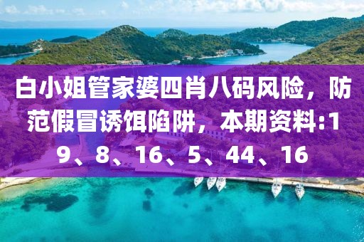 白小姐管家婆四肖八码风险，防范假冒诱饵陷阱，本期资料:19、8、16、5、44、16