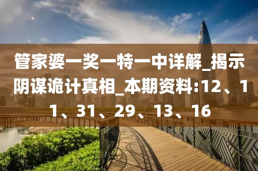 管家婆一奖一特一中详解_揭示阴谋诡计真相_本期资料:12、11、31、29、13、16