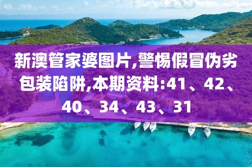 新澳管家婆图片,警惕假冒伪劣包装陷阱,本期资料:41、42、40、34、43、31